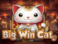 Big Win Cat slot gratis