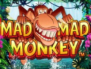 Mad Mad Monkey slot gratis