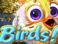 Birds slot gratis