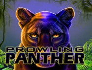Prowling Panther slot gratis