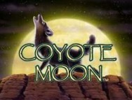 Coyote Moon slot gratis