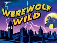 Werewolf Wild slot gratis