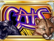 Cats slot gratis