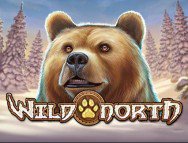 Wild North slot gratis