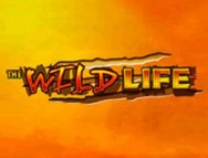 The Wild Life slot gratis